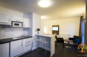 Adonis Dijon Maison Internationale - photo 20