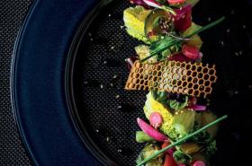 Hôtel Darcy - photo 22