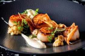 Hôtel Darcy - photo 25