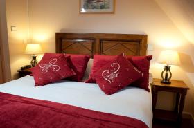 Hôtel Wilson - photo 8