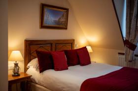 Hôtel Wilson - photo 11