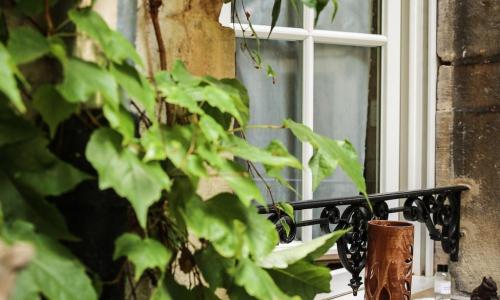 Le Petit Tertre - photo 2