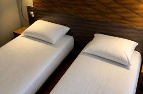 ibis Dijon Centre Clemenceau - photo 10