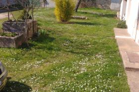 La Maison des Bambous - photo 11